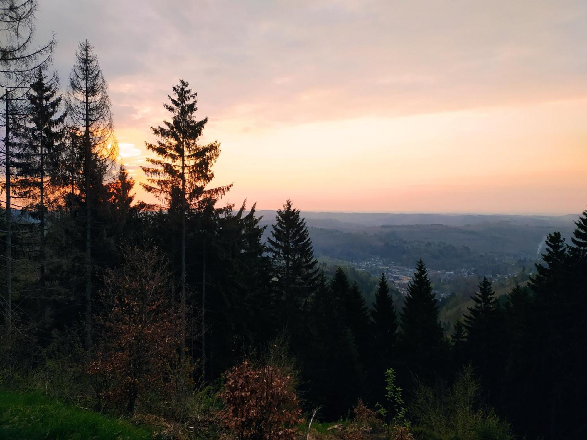 Ferienwohnung Steinachblick Steinach  Dış mekan fotoğraf