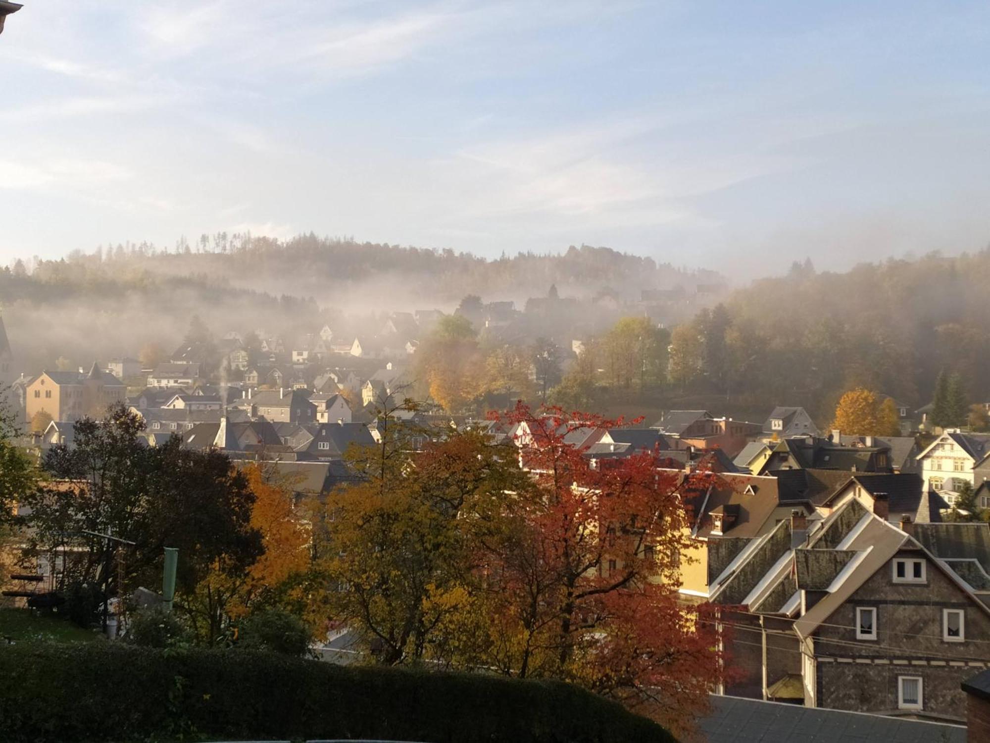 Ferienwohnung Steinachblick Steinach  Dış mekan fotoğraf