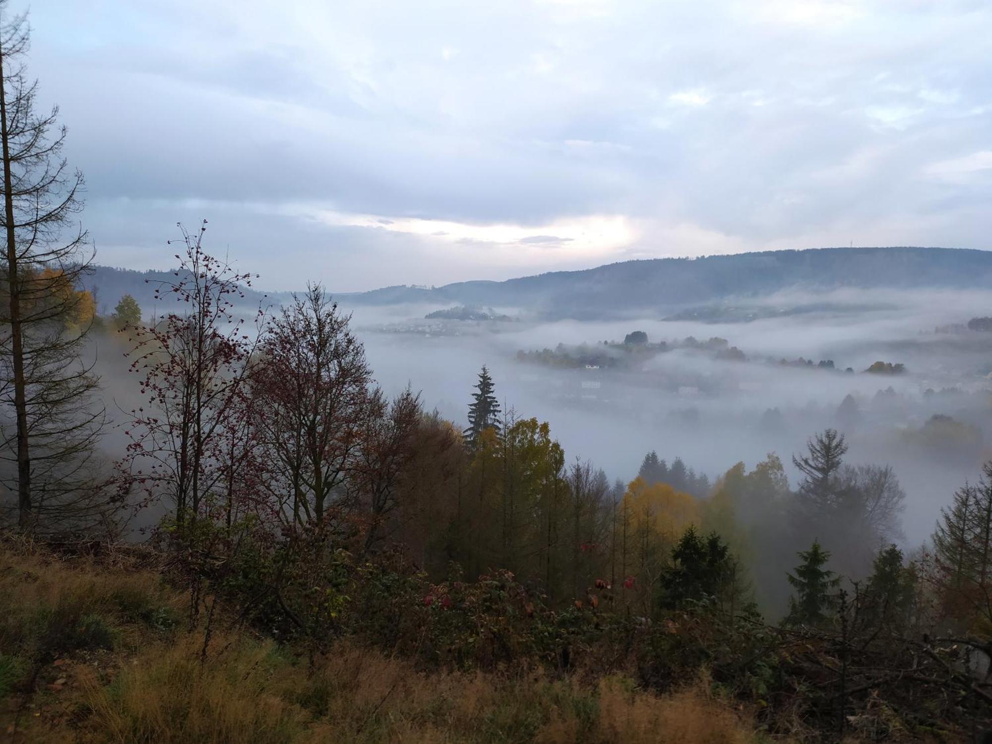 Ferienwohnung Steinachblick Steinach  Dış mekan fotoğraf